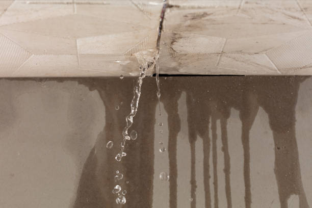 Professional Structural Drying technician working in Waveland, MS